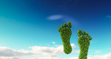 Ein symbolischer grüner Fußabdruck auf einer grünen Wiese
