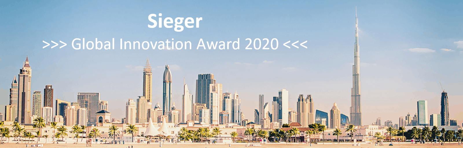 Sieger Global Innovation Award 2020